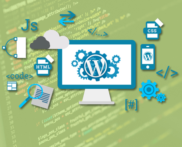 best website design services in hyderabad