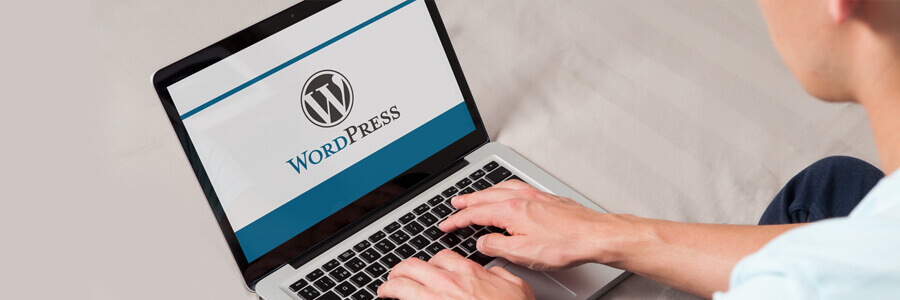 wordpress cms development services
